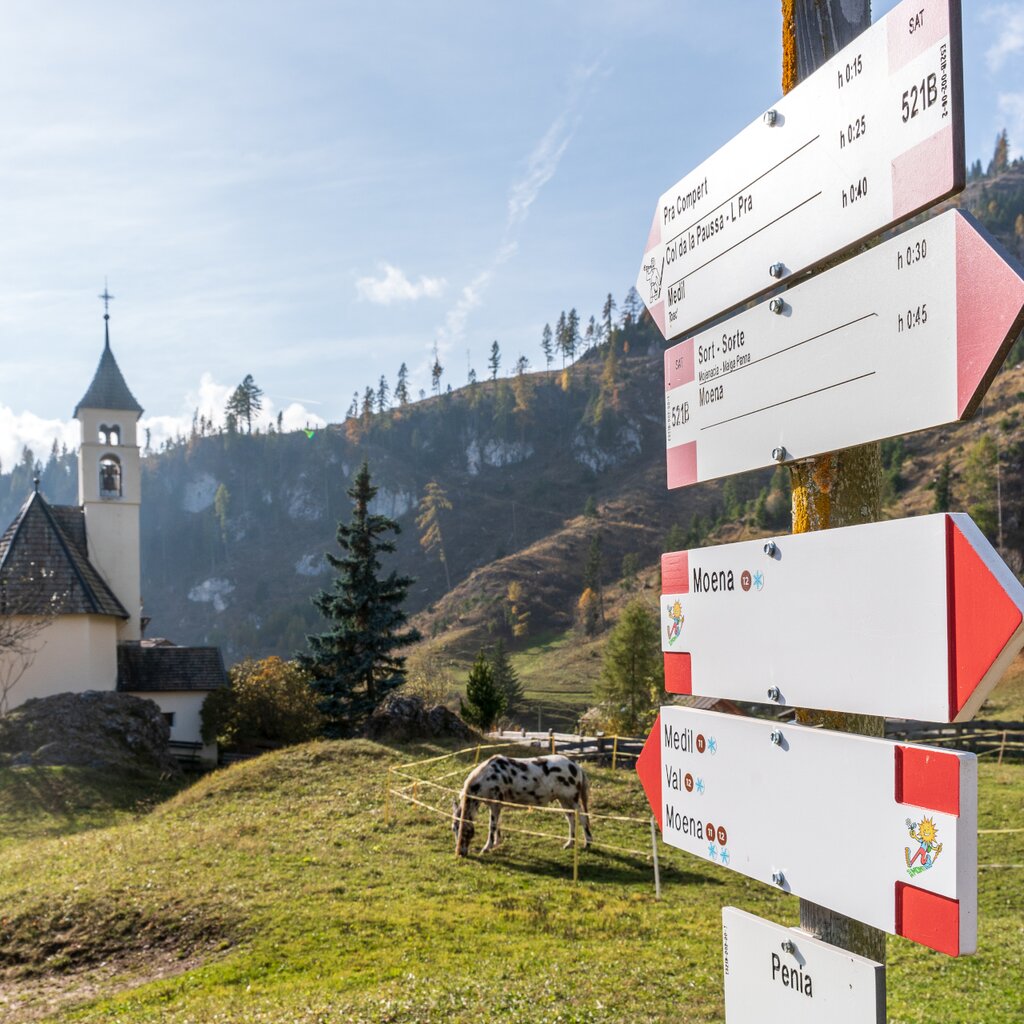 Passeggiata Moena - Sorte - Malga Peniola | © Passeggiata Moena - Sorte - Malga Peniola Archivio immagini APT Val di Fassa - Patricia Ramirez | © Passeggiata Moena - Sorte - Malga Peniola