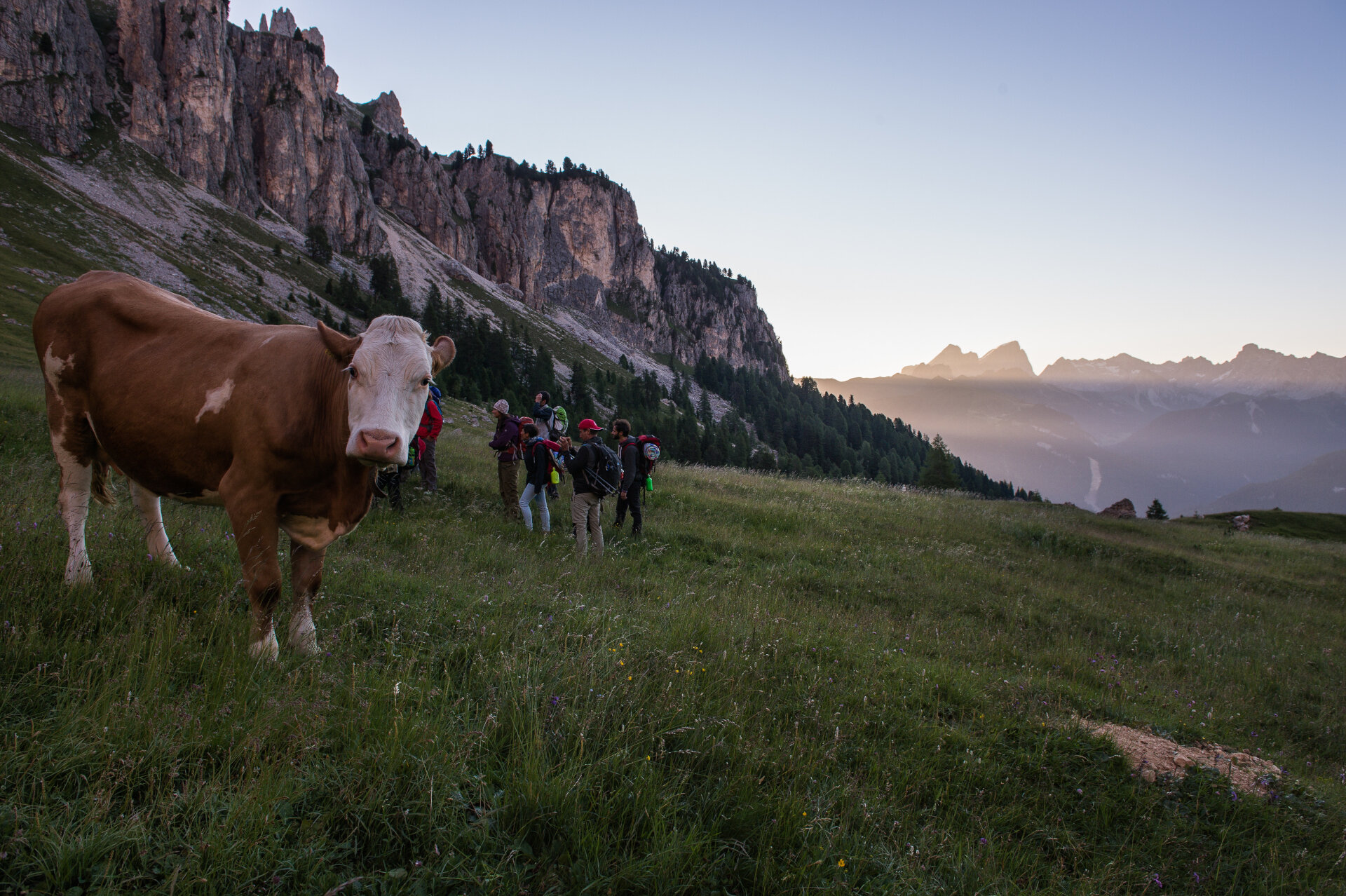 Tramonto in alpeggio in Val di Fassa | © Andrea Costa - Archivio Immagini ApT Val di Fassa