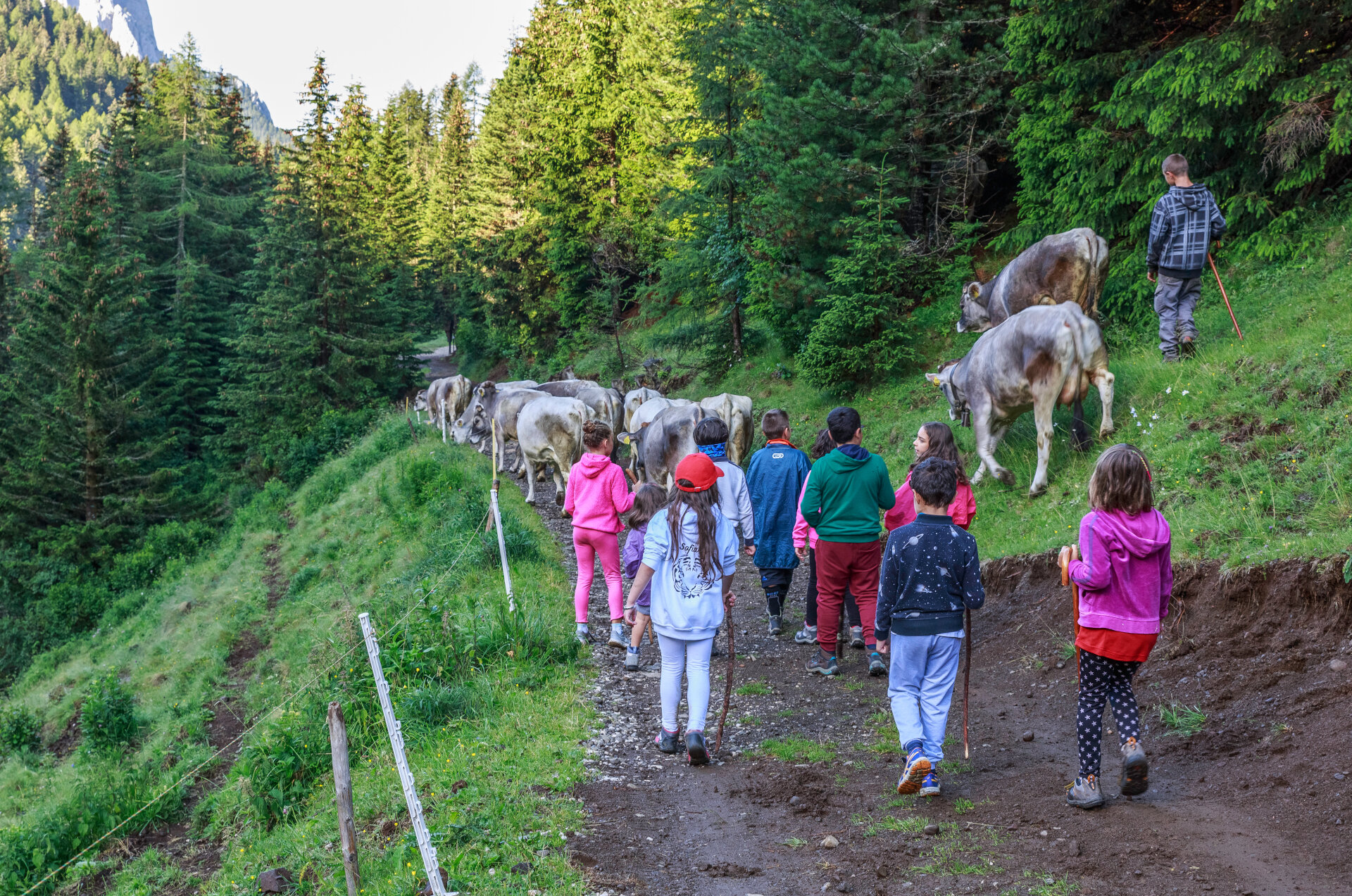 Alpeggio in Val di Fassa | © Patricia Ramirez - Archivio Immagini ApT Val di Fassa