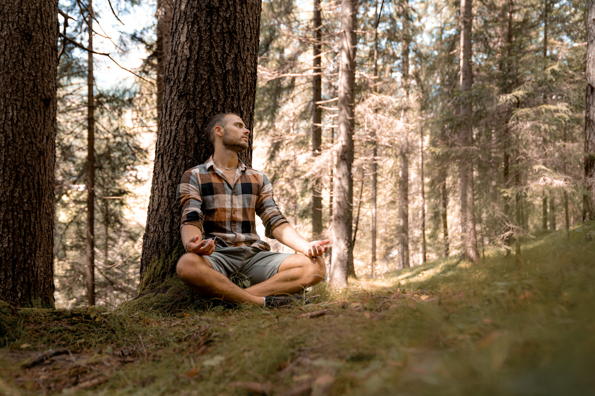 Forest bathing nelle Dolomiti della Val di Fassa | © Archivio Immagini ApT Val di Fassa - Mattia Rizzi