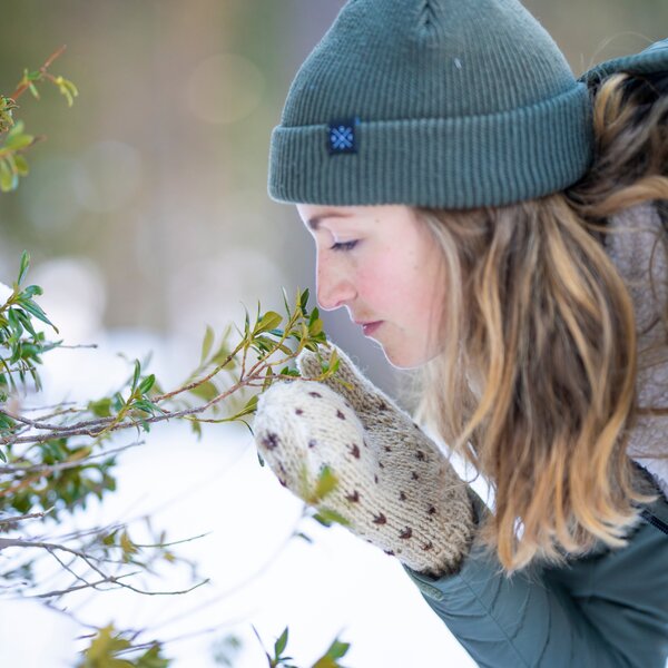 Forest Bathing