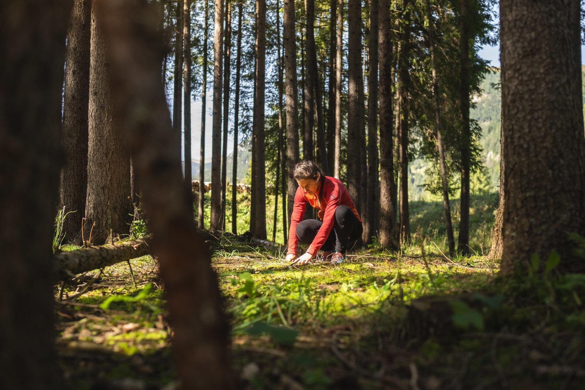 Forest bathing - Katiuscia Rasom