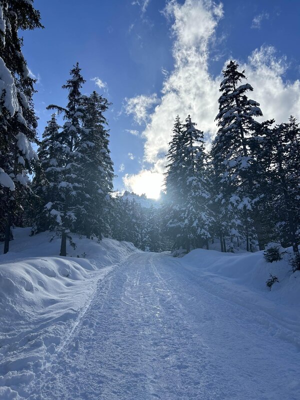 Paesaggi Invernali