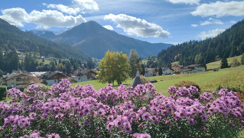 Vista dal giardino direzione Moena