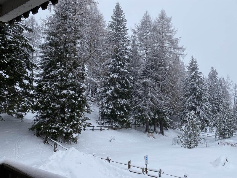 Vista del giardino dal balcone secondario