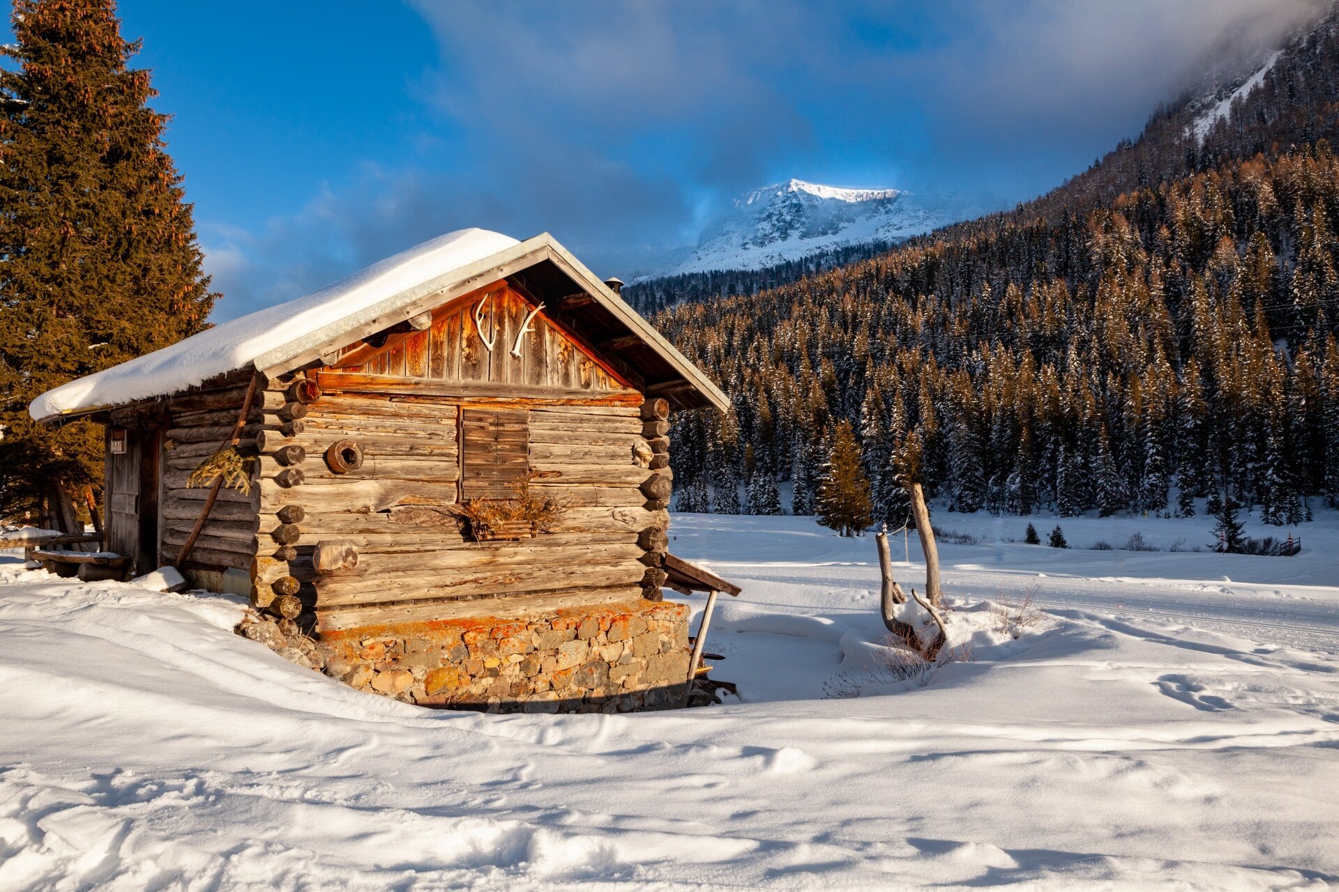 Alla Malga Negritella, Lungo Le Linee Di Difesa Italo Austriache