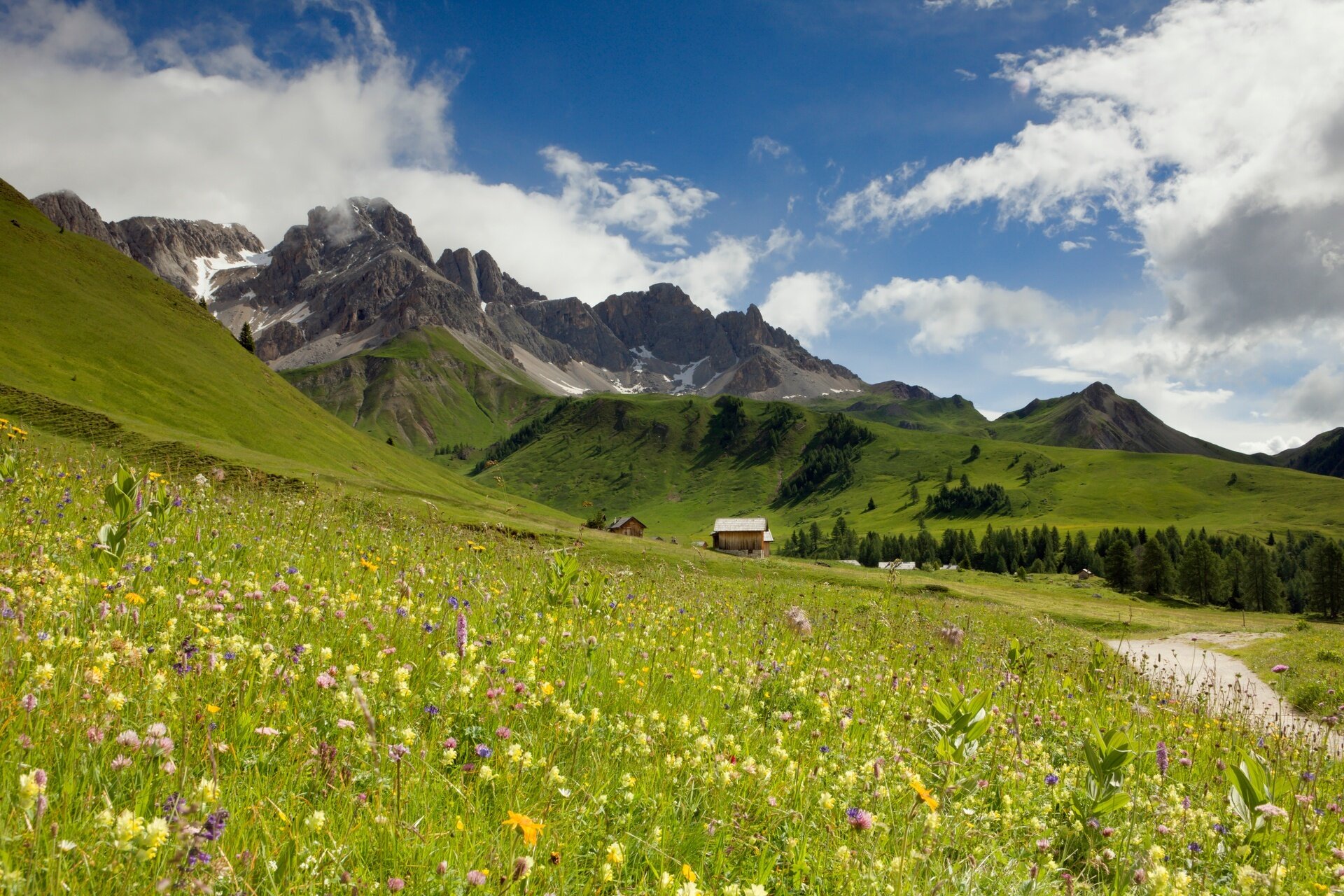 Dal Passo All'Alpe Di Fuciade, Inseguendo I Sapori Ladini