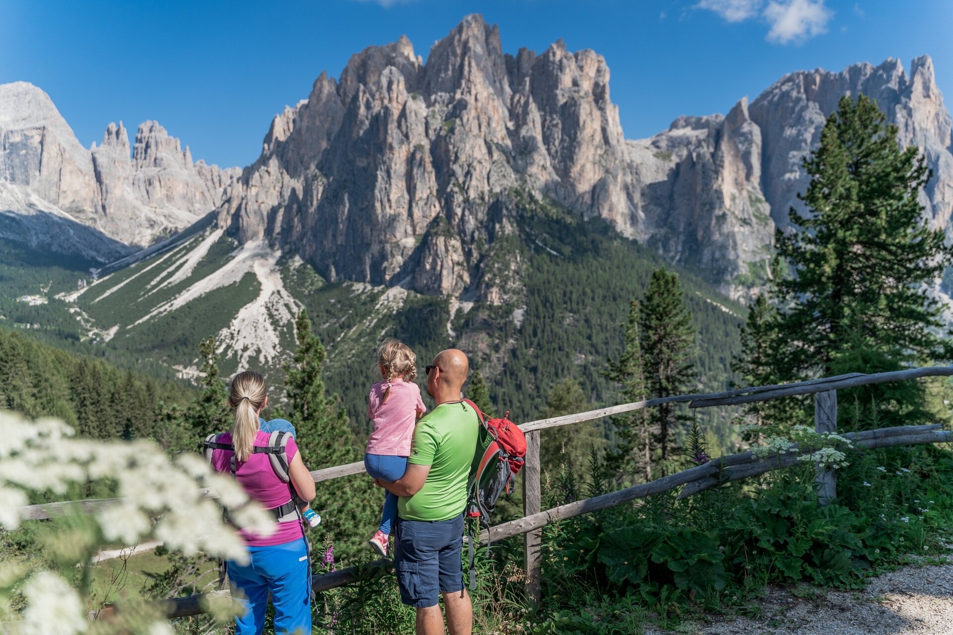 Sentiero Della Foresta Al Ciampedìe