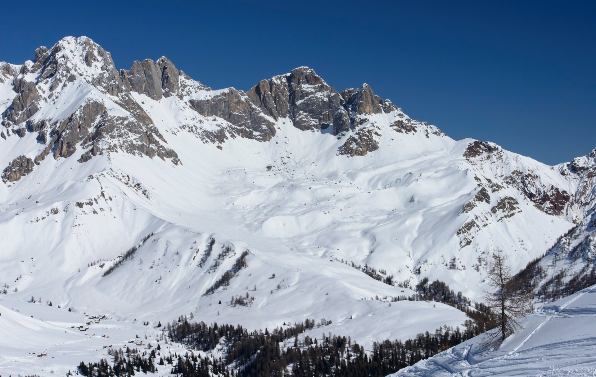 Malga Boer   Rifugio Flora Alpina