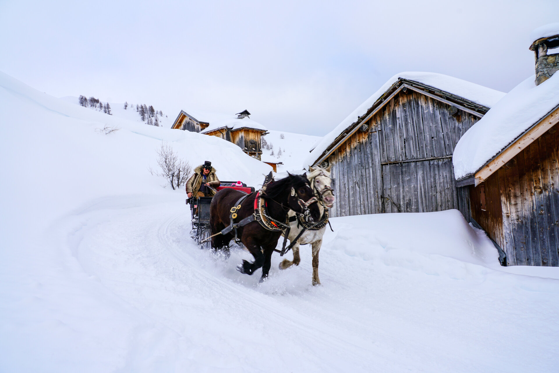 Defrancesco Michele   Sleigh And Carriage Rides